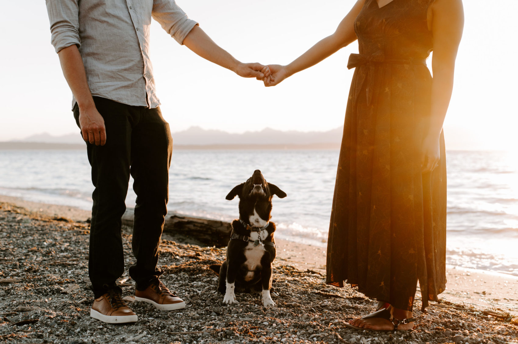 An engagement photo of a couple holding hands with their dog sitting between them on a sunlit beach.