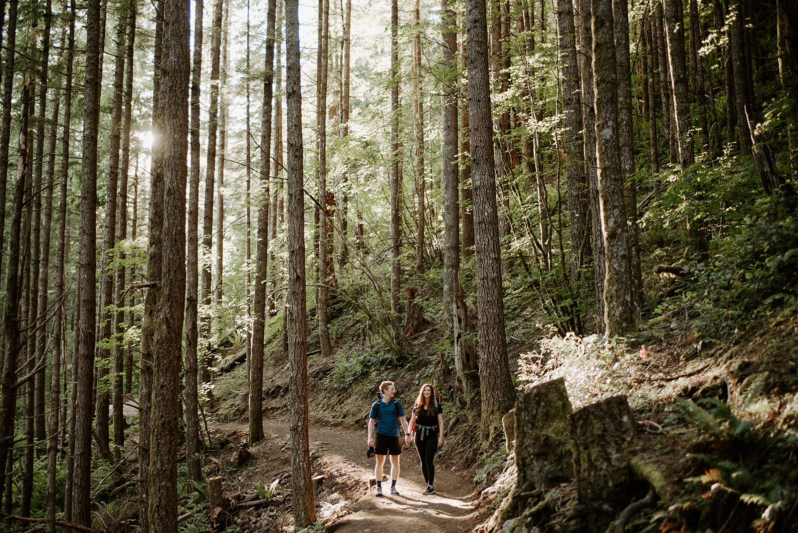 A couple hiking hand in hand along a forest trail, surrounded by tall trees and dappled sunlight.