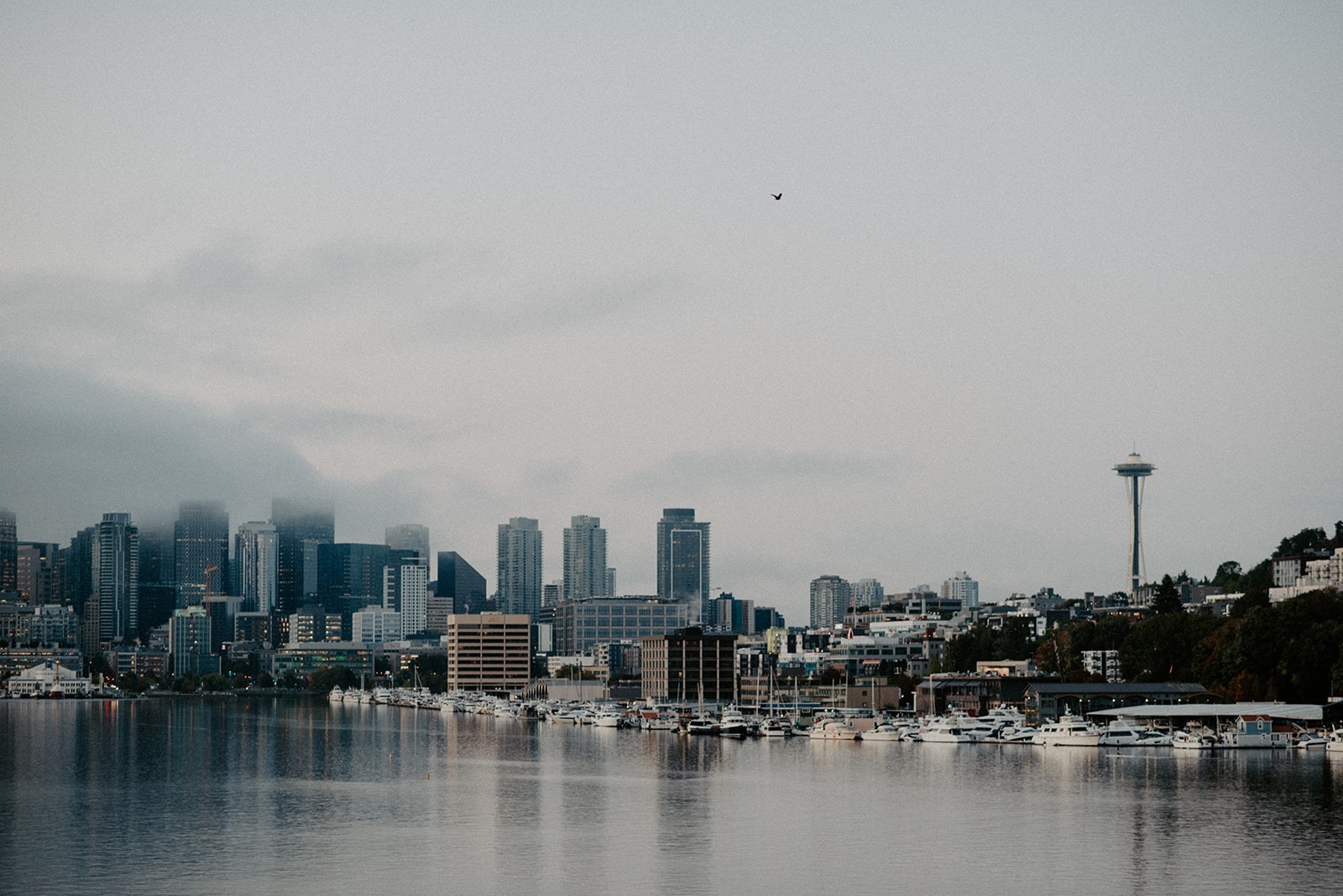 Seattle skyline at sunrise during a Gas Works Park engagement session overlooking Lake Union