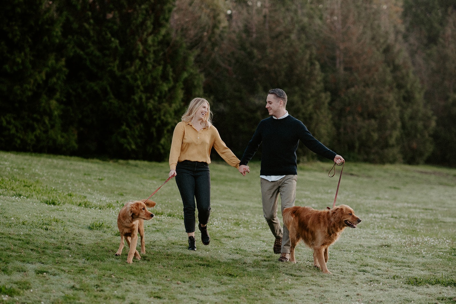 Couple walking their golden retrievers through a grassy field during a Seattle engagement session