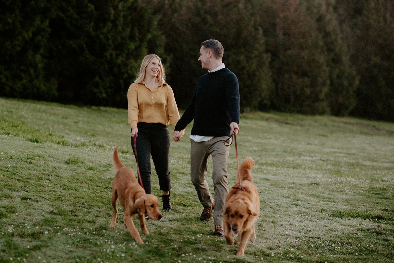Couple walking their dogs through a grassy field during a Seattle engagement session
