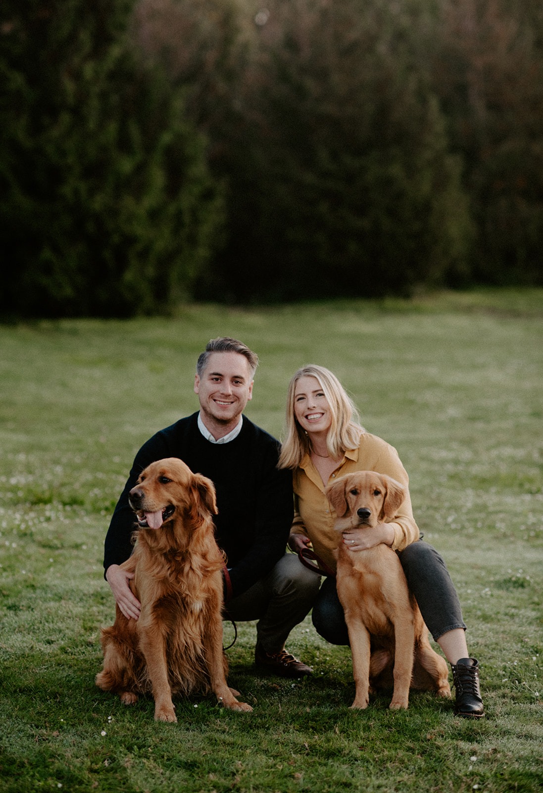 Couple sitting on the grass with their golden retrievers during a Gas Works Park engagement session
