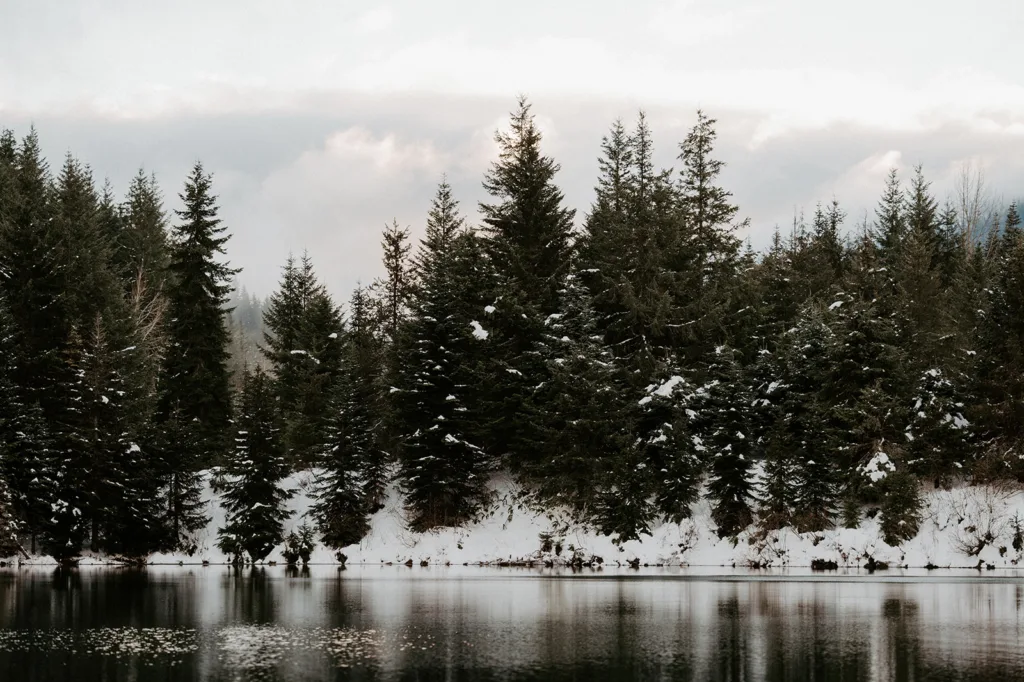 Snow-touched evergreen trees reflected in the calm waters of Gold Creek Pond, with a soft winter light setting a peaceful atmosphere.