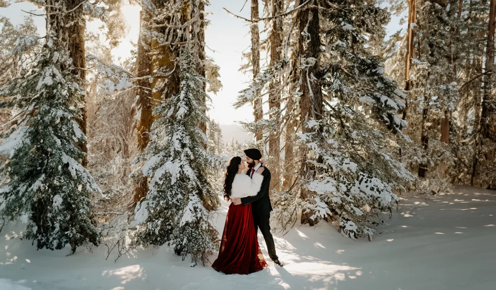"Couple stands close in a snow-laden forest, basking in sunlight."