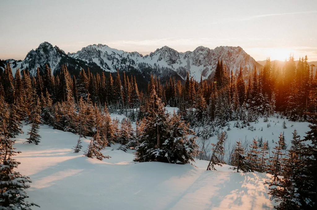 The setting sun casts a golden glow over the snow-clad forests and peaks of Mount Rainier.