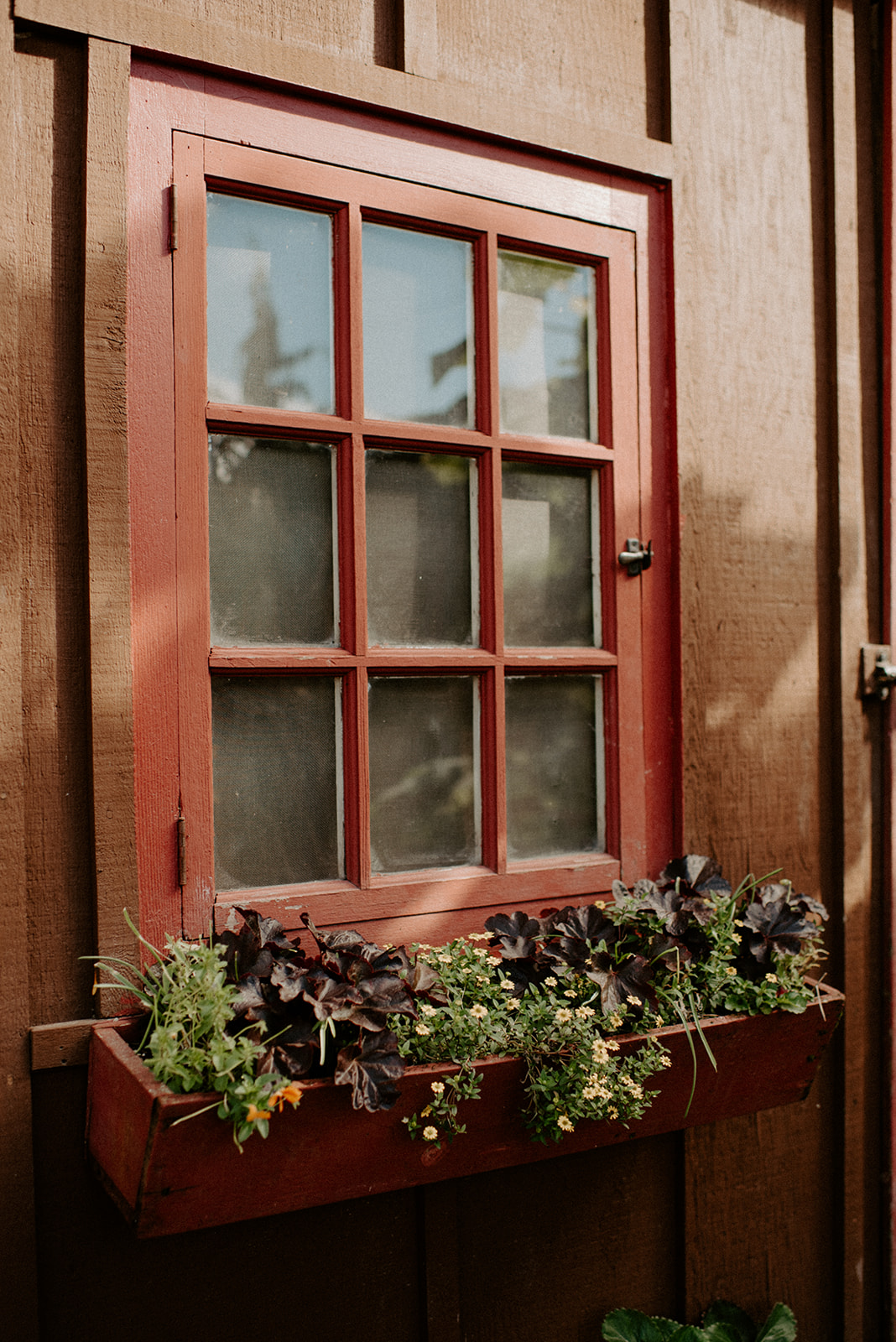 Red-framed window with a full window box of greenery on the exterior of Willows Lodge