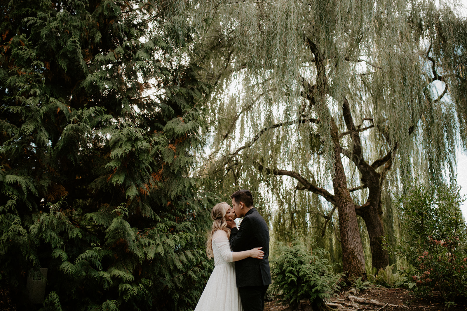 A couple sharing a kiss under the lush branches of a weeping willow tree, with the woman in a white dress and the man in a dark suit.