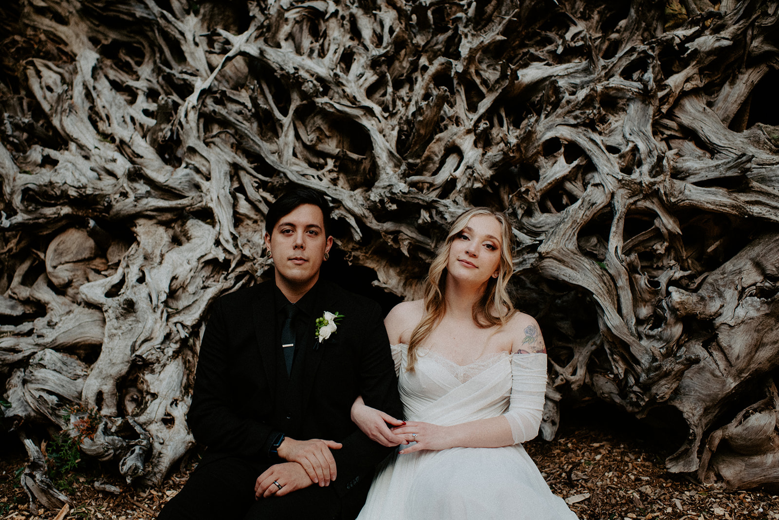Bride and groom seated together in front of a dramatic twisted driftwood sculpture at Willows Lodge