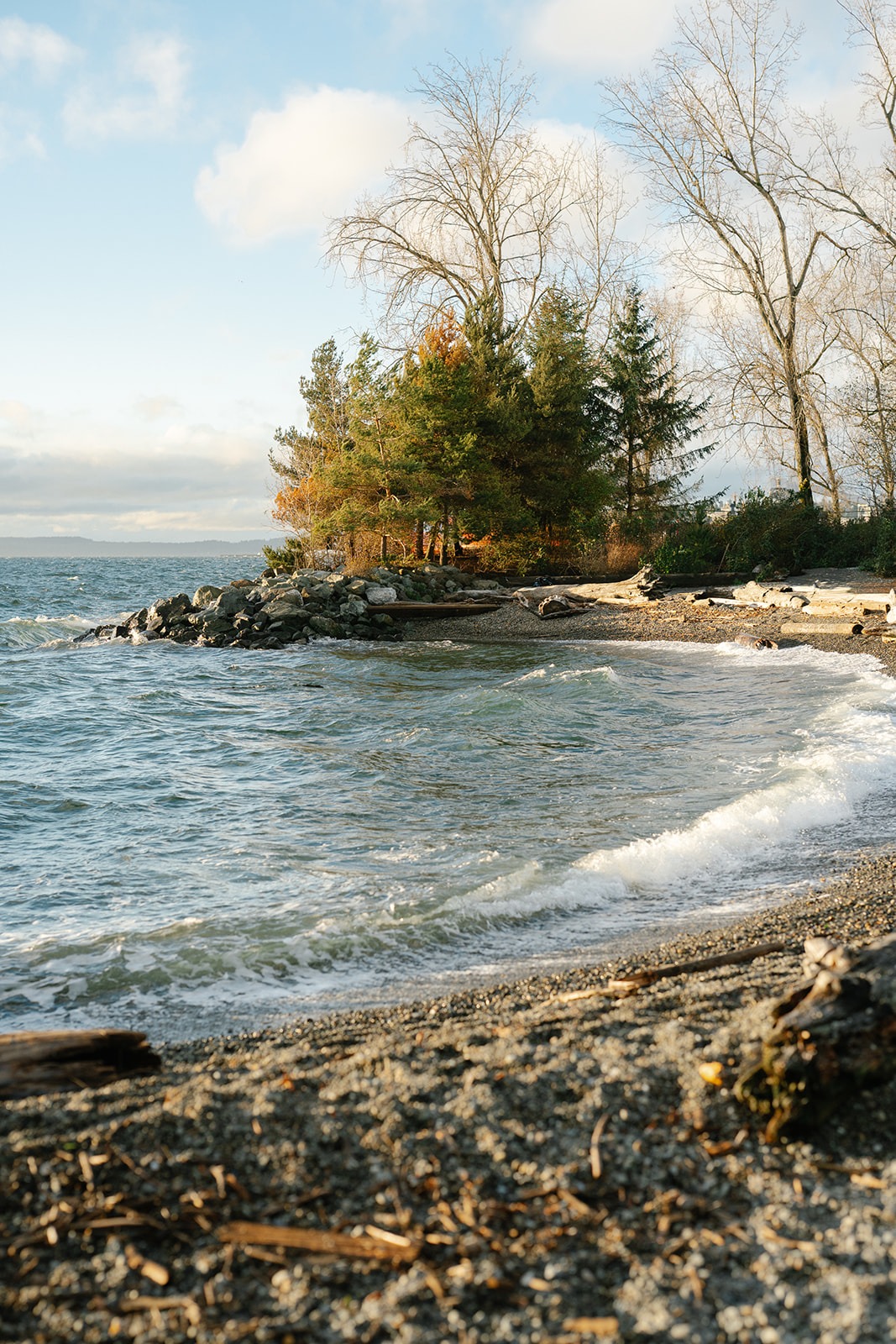 View of Pocket Beach in Seattle, Washington