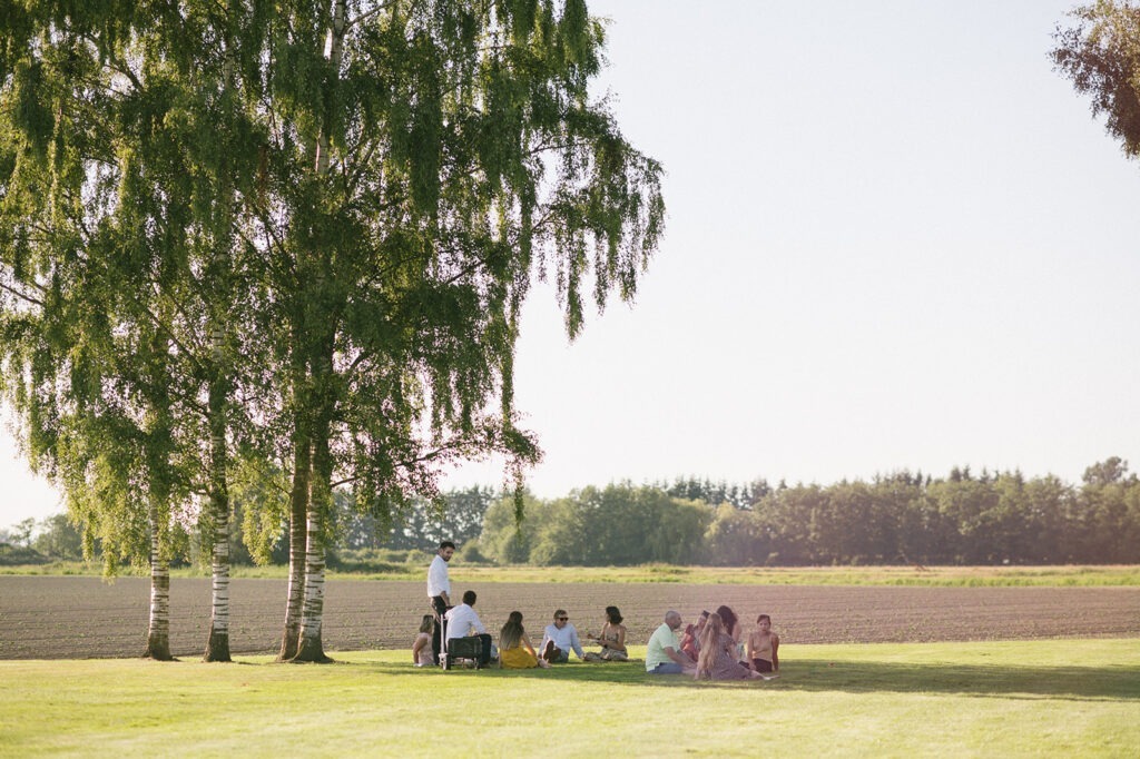 Guests relax together in the grass beneath a row of birch trees