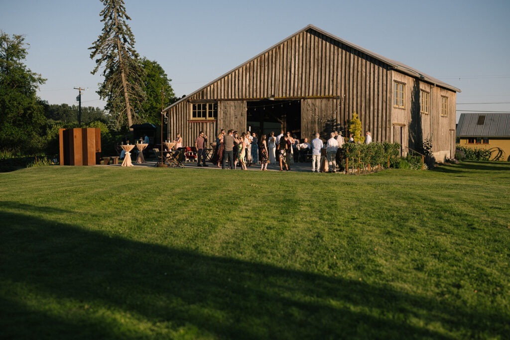 Golden light falls over this Saltbox Barn wedding reception as guests gather on the lawn