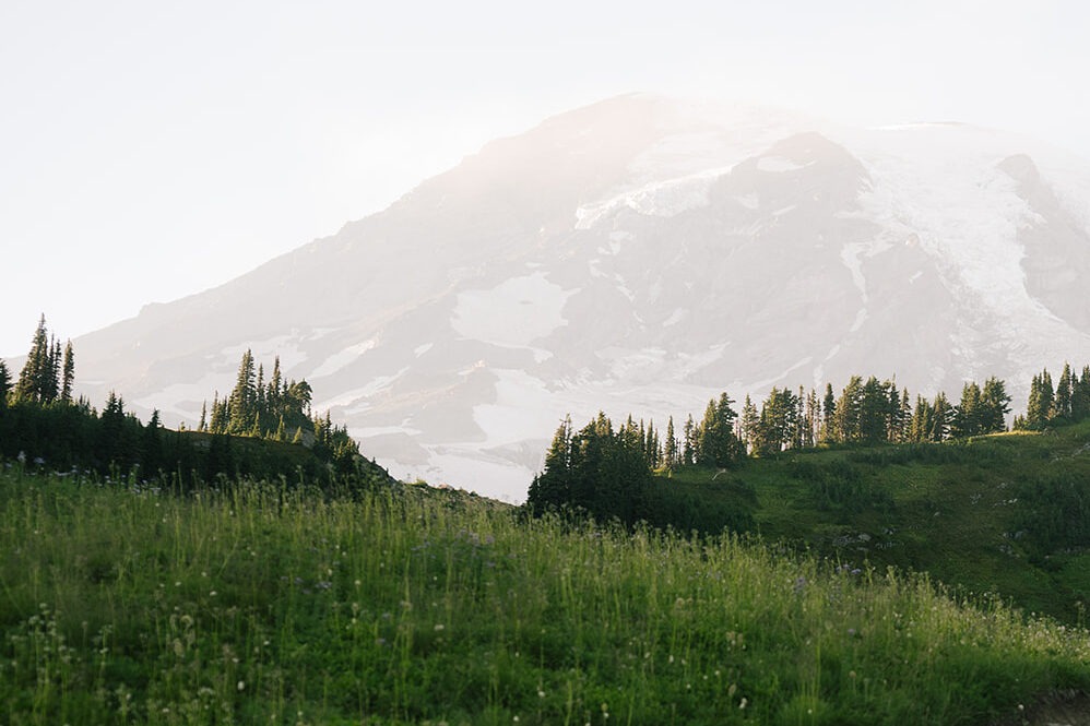 Wide landscape of Mount Rainier from the Paradise trail scouted for a surprise proposal at golden hour