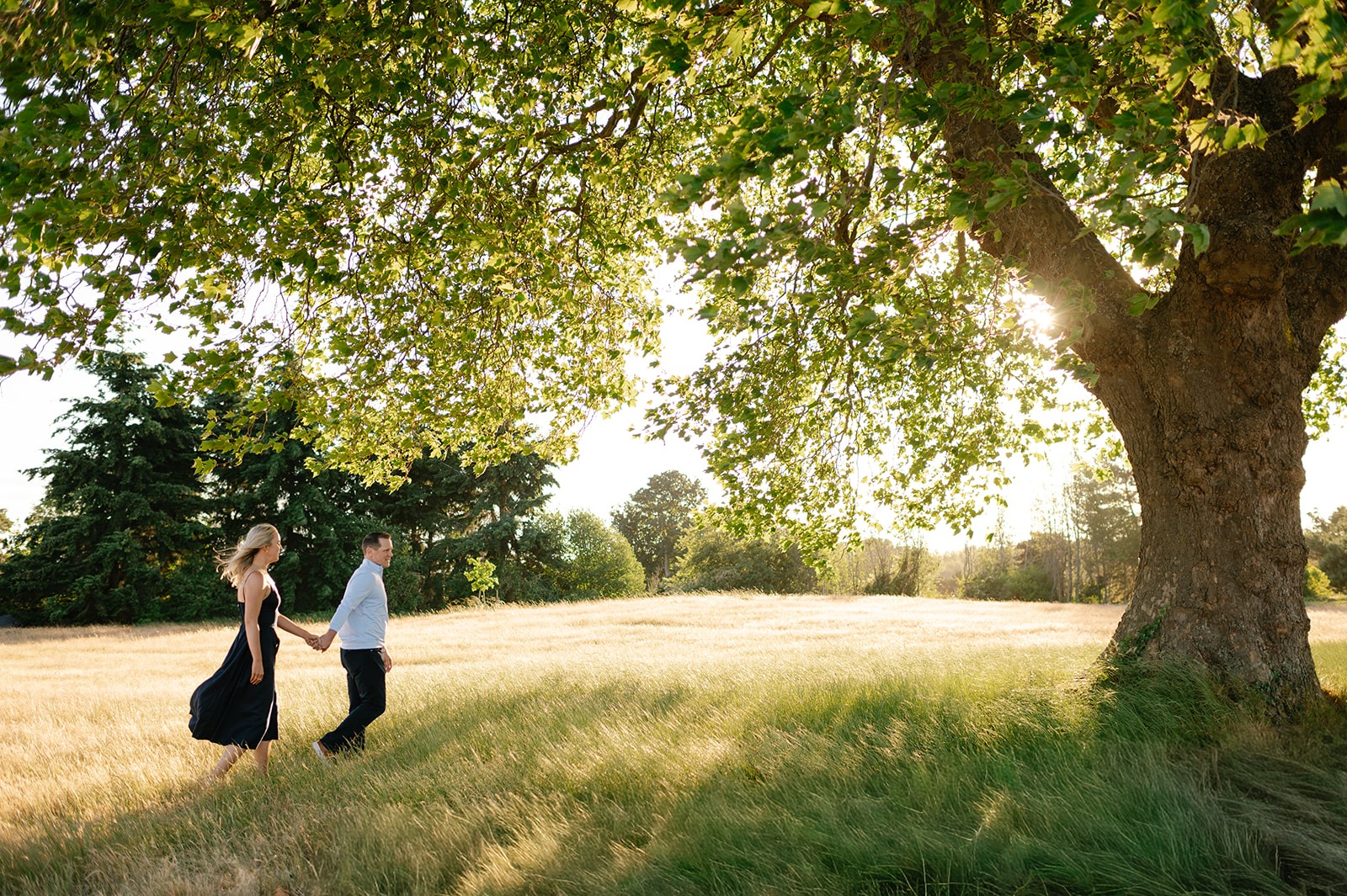 Couple walks hand in hand across a golden grass field toward a large oak tree